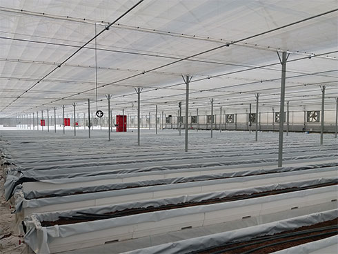 project-hamed-3