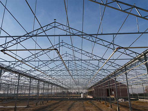 project-rezaei-5